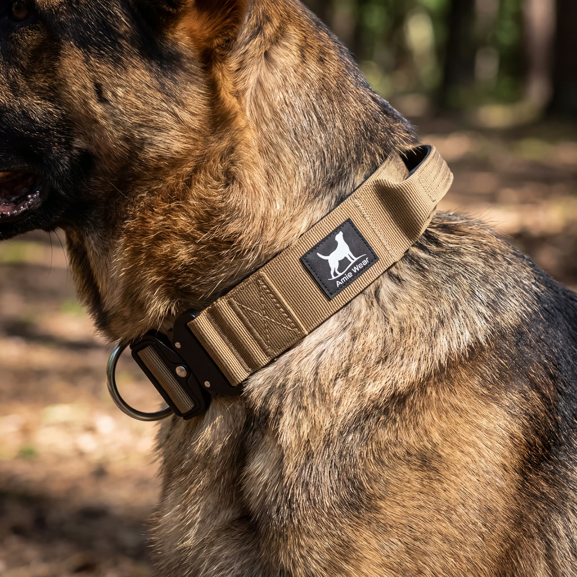Breites taktisches Hundehalsband mit Griff in Beige am Hals eines großen Hundes