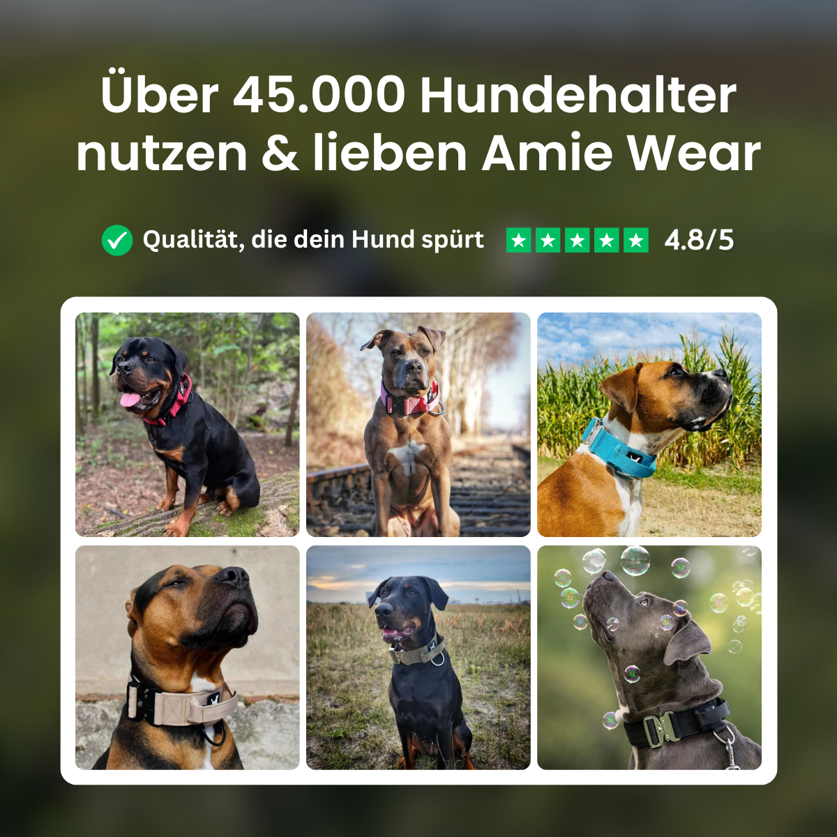 Schmales taktisches Hundehalsband mit Griff – Magenta