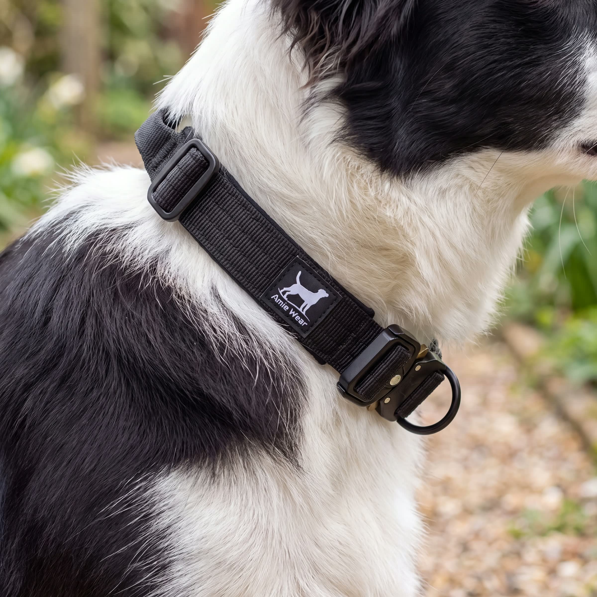 Schmales taktisches Hundehalsband mit Griff in Schwarz an einem mittelgroßen Hund